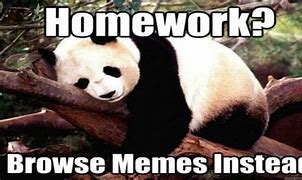 Image result for Lots of Homework Meme