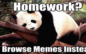 Image result for Parents and Homework Memes