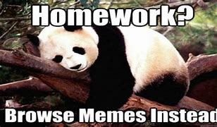Image result for homework memes