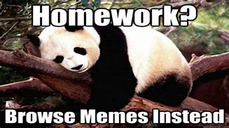 Image result for Too Much Homework Meme