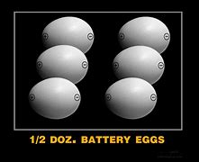 Image result for Battery Eggs