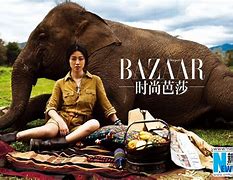 Image result for co_to_za_zhu_xi