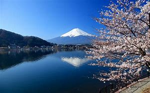 Image result for Pics of Japan