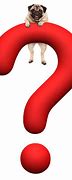 Image result for Funny Dog Question Mark