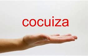 Image result for cocuiza