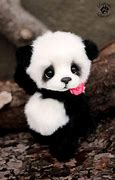 Image result for Baby Panda Pink