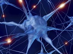 Image result for Epilepsy Neurons