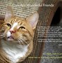 Image result for Cat Rescue Quotes