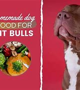 Image result for Homemade Dog Food Recipes for Pit Bulls