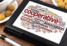 Image result for Cooperative