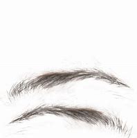 Image result for Crazy Eyebrows