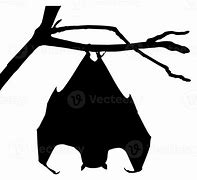 Image result for Sleeping Bat Horror