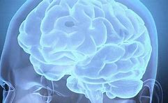 Image result for Blue Big Brain