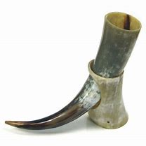 Image result for Drinking Buffalo Horn