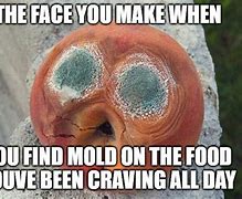 Image result for Moldy Food Meme