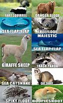 Image result for Funny Animals List
