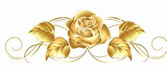 Image result for Standrd Rose Gold Color