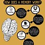 Image result for Types of Human Memories