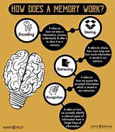 Image result for How Do Baby's Memory Work
