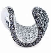 Image result for Black Diamond Swivel