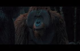 Image result for Maurice War for the Planet of the Apes
