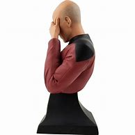 Image result for Picard Facepalm