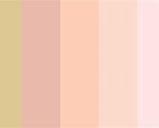 Image result for Rose Gold Color Scheme