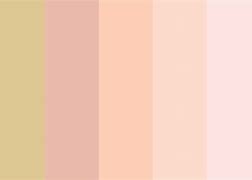Image result for Rose Gold Color for Wall