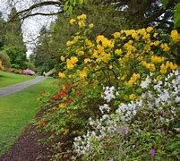 Image result for 2300 Arboretum Drive E, Seattle, 98112