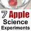 Image result for Easy Fun Science Experiments Kids
