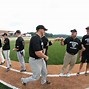 Image result for Batting Cage Turf