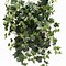 Image result for Luxury Artificial Ivy