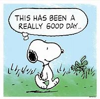 Image result for Snoopy What Have I Done Memes