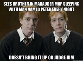 Image result for PJO and HP Memes