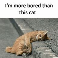 Image result for Funny Memes of Being Bored