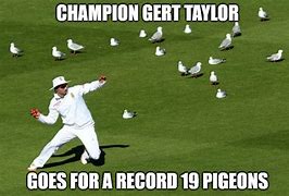 Image result for Col Meme Pigeon
