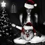 Image result for Gothic Christmas's