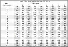How To Calculate Target Slaughter Weights For Your Beef