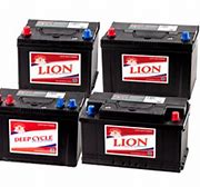 Image result for Lion Car Battery