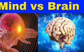 Image result for Difference Between Mind and Brain Philosophy