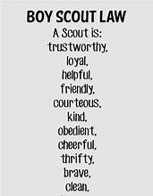 Image result for The Scout Association
