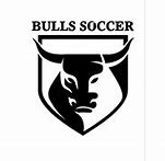 Image result for Chivagp Bulls
