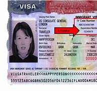 Image result for Alien Registration Number On H1B Visa