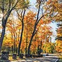 Image result for Apple Hill Hikes