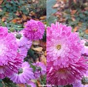 Image result for iPhone 4 vs 4S