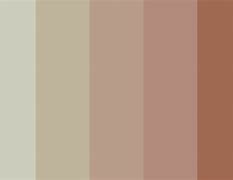 Image result for Dark and Somber Colors