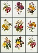 Image result for NES Retro Flower