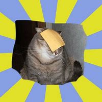 Image result for Chmeese Cat Meme