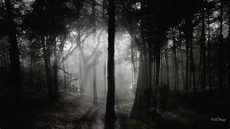 Image result for Gothic Woods Background
