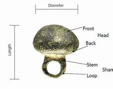 Image result for Stainless Steel Button 12Mm DIA